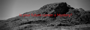 Is your future career a mystery?