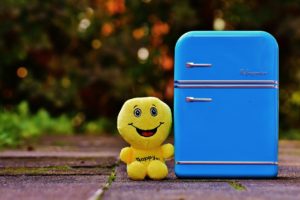 fridge and musicians' site angst