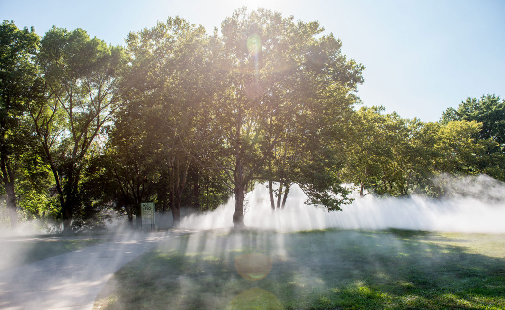 Entering into the unknown — the fog of our future Photo of Fog art in The Fens, Boston, by Melissa Ostrow